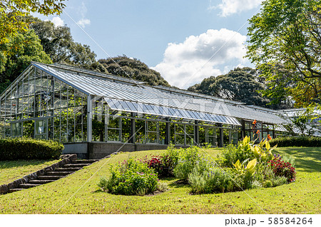花畑園芸公園 花畑園芸公園 58584264