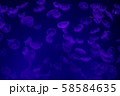 クラゲ 58584635