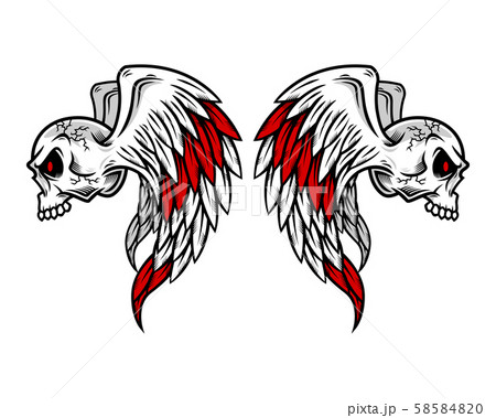Skull logo, icon or skull illustration with wings, 58584820