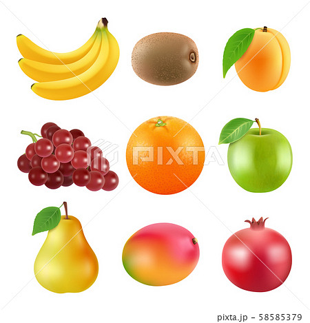 Different illustrations of fruits. Realistic vector pictures isolate on white 58585379