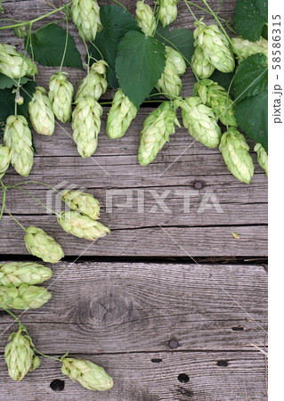 Hop twigs frame over wooden cracked table 58586315