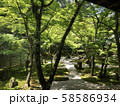 枯山水 58586934