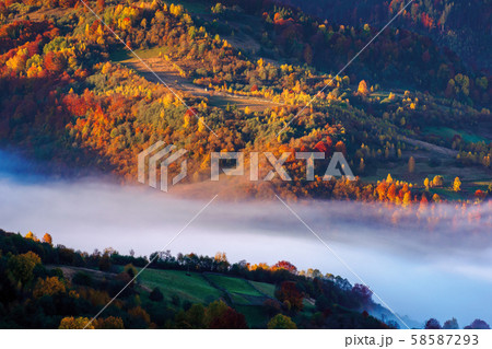 beautiful autumn landscape with valley fog beautiful autumn landscape with valley fog 58587293