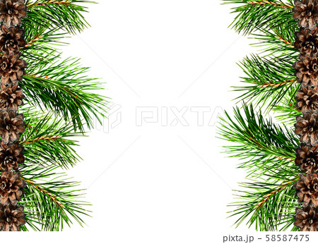 Pine twigs and cones edges 58587475