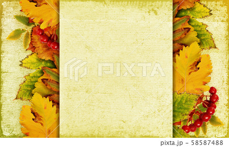 Autumn background with leaves and berries Autumn background with leaves and berries 58587488