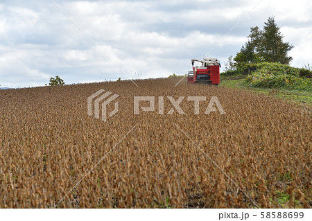 北海道厚沢部町鶉地区で大豆の収穫作業の風景を撮影 北海道厚沢部町鶉地区で大豆の収穫作業の風景を撮影 58588699
