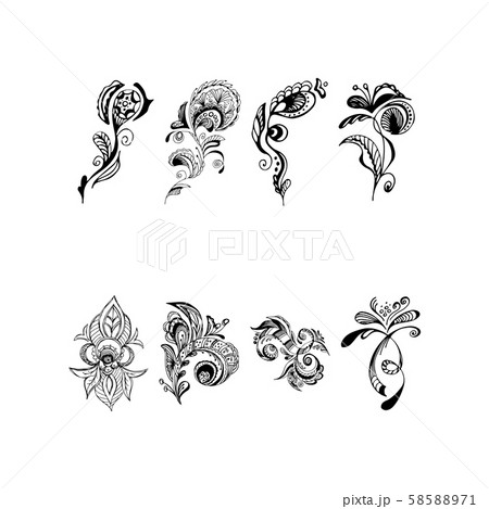 Set of summer tropical flowers. Floral botanical 58588971