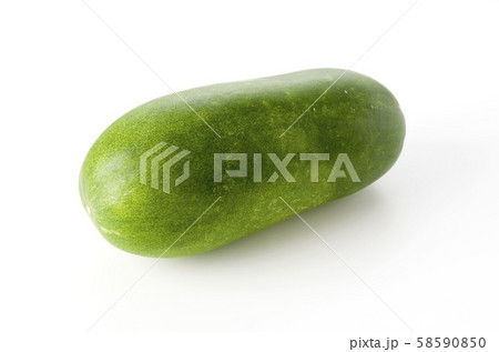 冬瓜 冬瓜 58590850