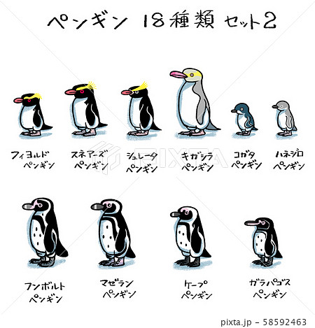 ペンギン18種類セット２のイラスト素材 58592463 Pixta
