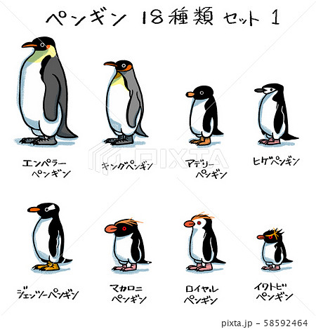 ペンギン18種類セット１のイラスト素材 58592464 Pixta