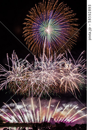 にし阿波の花火 にし阿波の花火 58592893