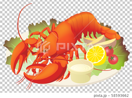 Lobster Dish White Background Stock Illustration