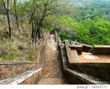 Sigiriya ancient rock in Sri Lanka 58593771