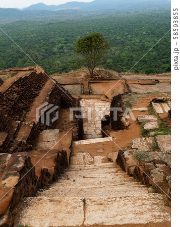 Sigiriya ancient rock in Sri Lanka 58593855