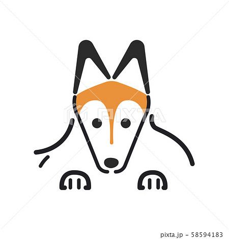 犬 ポーズ 表情 アップ シェットランドシープドッグのイラスト素材