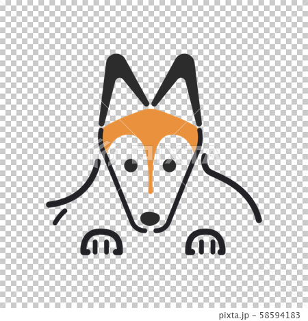 犬 ポーズ 表情 アップ シェットランドシープドッグ 犬 ポーズ 表情 アップ シェットランドシープドッグ 58594183