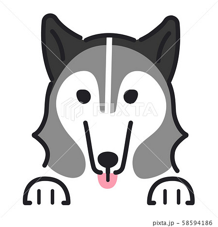 犬 ポーズ 表情 アップ シベリアンハスキーのイラスト素材