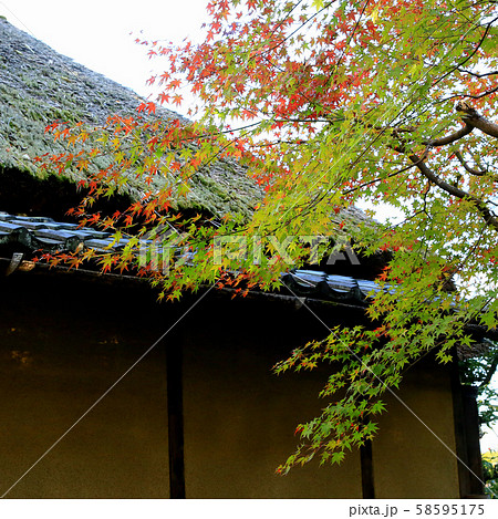 京都　嵯峨野　落柿舎 58595175