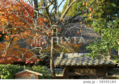京都　嵯峨野　落柿舎 58595184