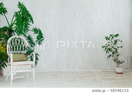 chair with green plants in a vintage white room chair with green plants in a vintage white room 58596153