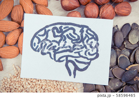 Drawing of brain and healthy food for power Drawing of brain and healthy food for power 58596465