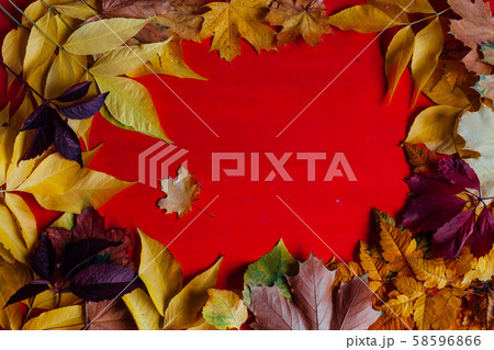yellow and red leaves autumn red postcard background yellow and red leaves autumn red postcard background 58596866