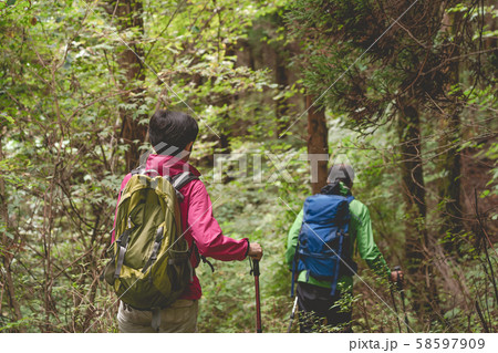 トレッキング　登山道　散策 58597909