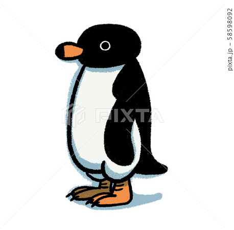 アデリーペンギン 58598092