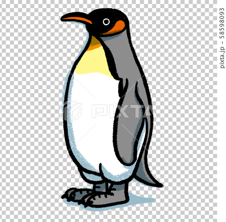 キングペンギンのイラスト素材