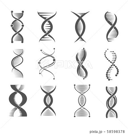 Dna Spiral Icons Helix Human Technology のイラスト素材