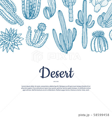 Vector hand drawn wild cacti plants banner 58599458
