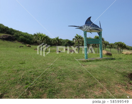 与那国島（西崎） 58599549