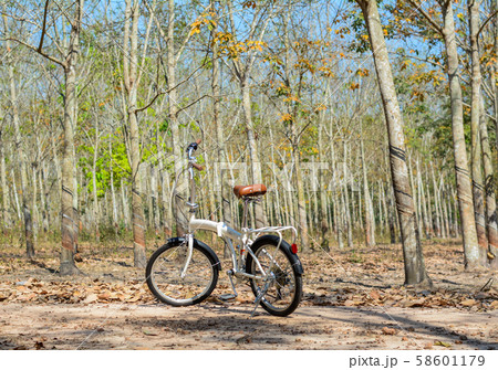 A bike parking at rubber forest A bike parking at rubber forest 58601179