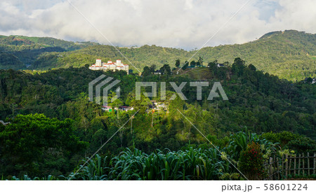 Mountain scenery of Cameron Highlands 58601224