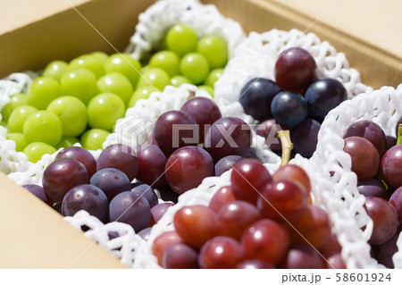 ぶどう　（集合）　ダンボール　ピオーネがメイン 58601924