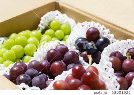 ぶどう　（集合）　ダンボール　ピオーネが中心 58601925