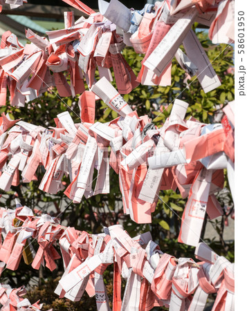 おみくじ結び所(東京江東区亀戸天神社) 58601950