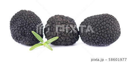 Black truffles isolated on a white background. Fresh truffle with rosemary branch. Delicacy Black truffles isolated on a white background. Fresh truffle with rosemary branch. Delicacy 58601977