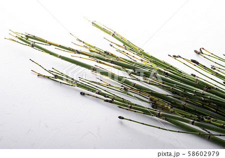 和風背景素材 和風背景素材 58602979