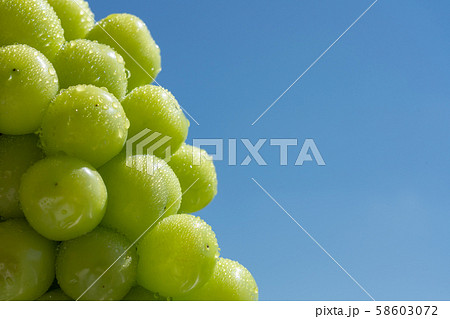 ぶどう　（シャインマスカット）　しずく 58603072
