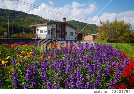 下金山駅と花 58603794