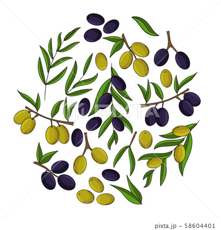 Olives card concept. Olive oil illustration for design and web, 58604401