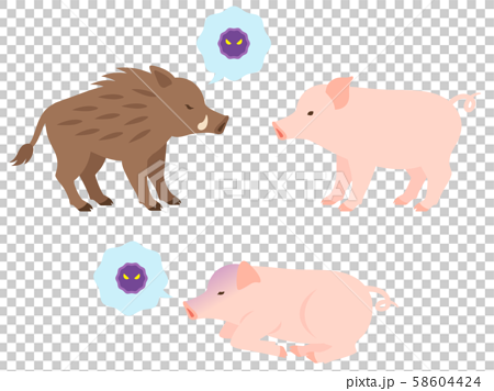 イノシシから豚へのウイルスの媒介 病気の豚のイメージイラストのイラスト素材