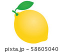 レモン 58605040