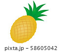 パイナップル 58605042