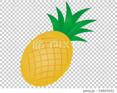 pineapple pineapple 58605042