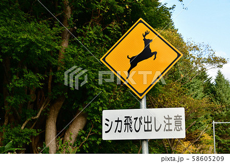 北海道で注意喚起の道路標識を撮影 58605209