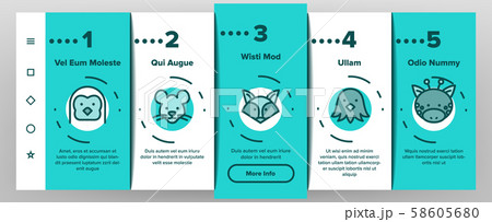 Animals Collection Wild And Farm Onboarding Set Vector Animals Collection Wild And Farm Onboarding Set Vector 58605680