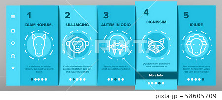 Animals Collection Wild And Farm Onboarding Set Vector Animals Collection Wild And Farm Onboarding Set Vector 58605709