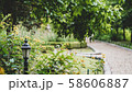 公園 散歩 トレイル 58606887